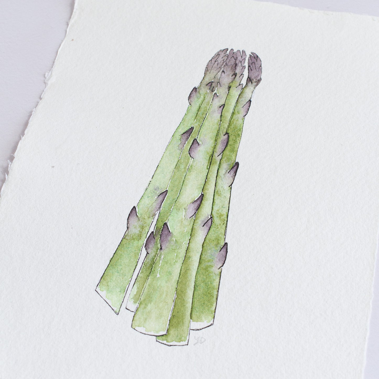 ASPARAGUS - Original Painting