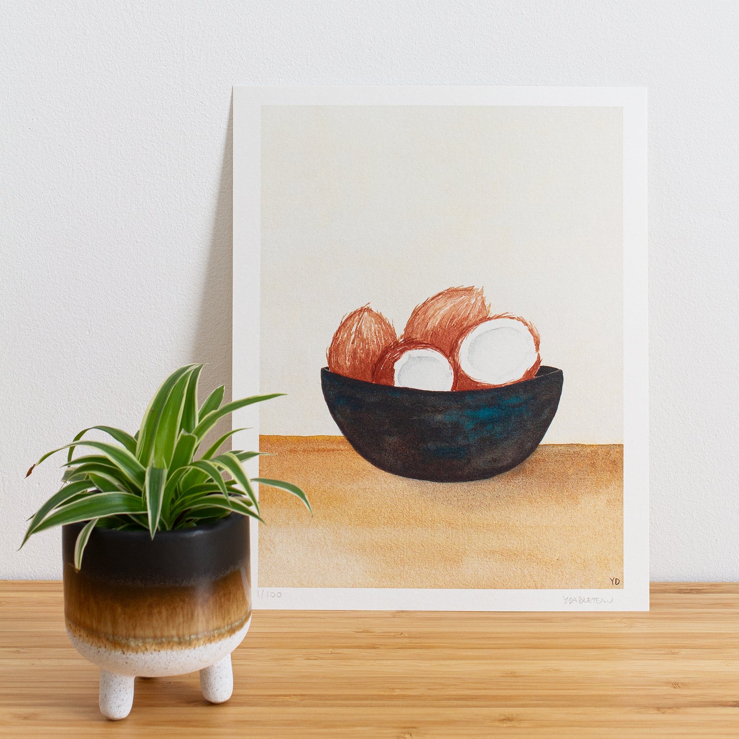 Image is a photo of a Limited edition art print sitting on bamboo wood surface with white background. The print is a reproduction from a handmade watercolour painting representing 4 coconuts in a dark bowl with turquoise streaks of paint throughout.