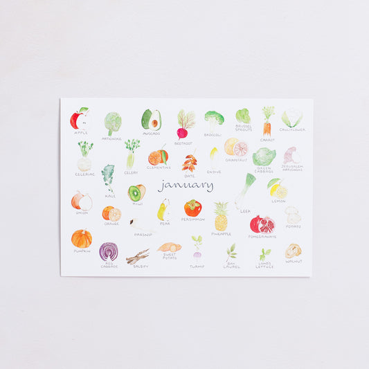 Watercolour illustrated perpetual seasonal fruit and vegetable calendar showing the first month of January