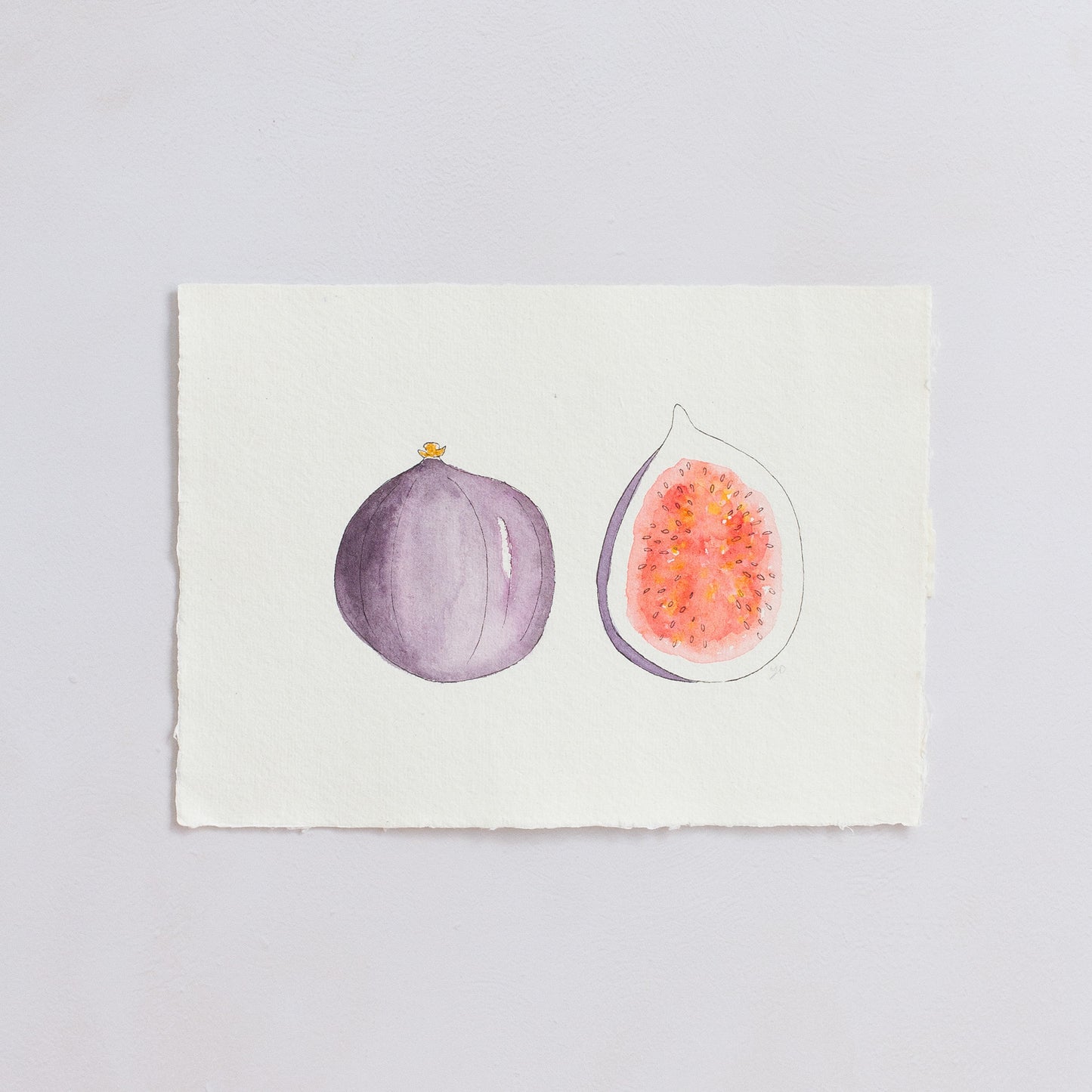 FIG - Original Painting