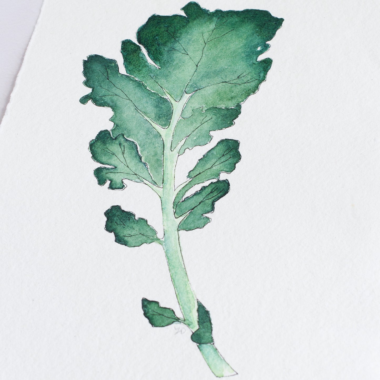 KALE - Original Painting