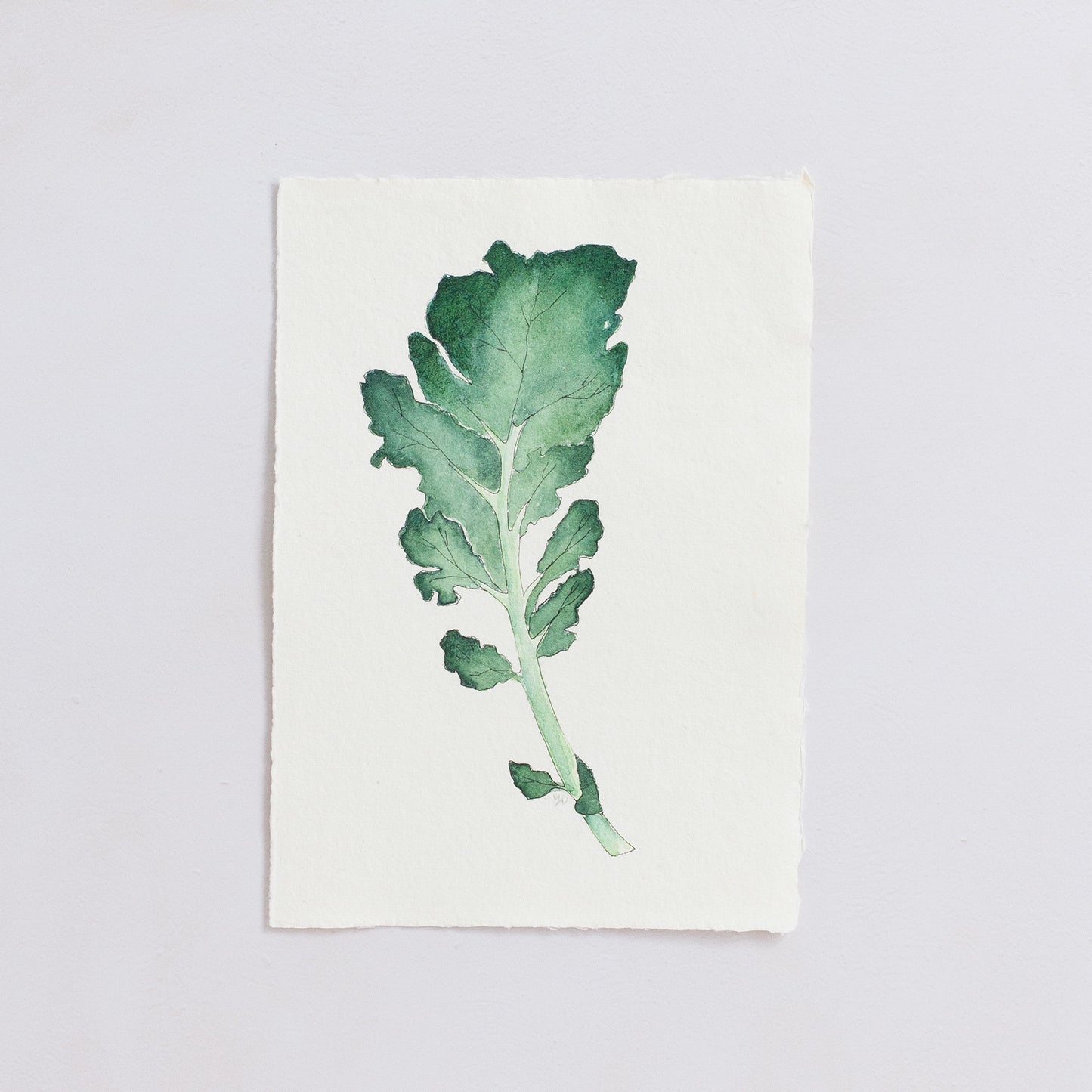 KALE - Original Painting