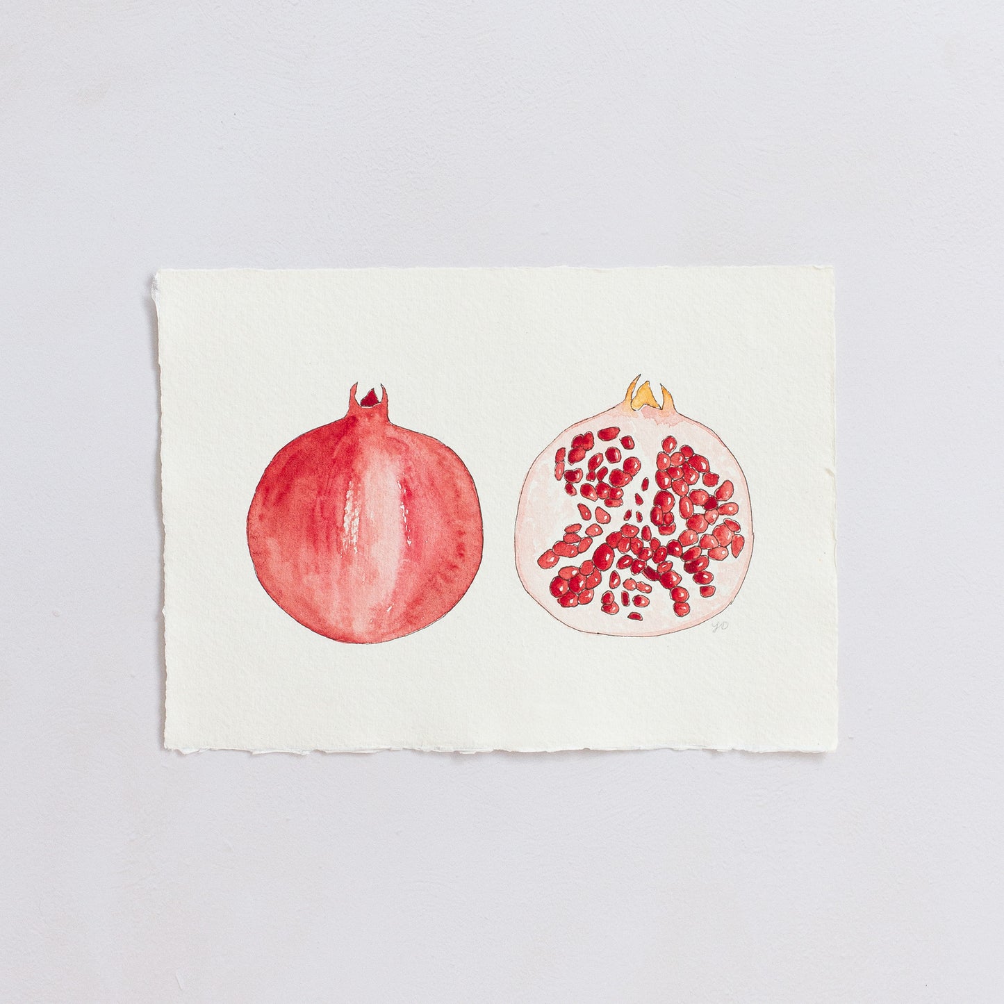 POMEGRANATE - Original Painting