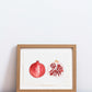 POMEGRANATE - Original Painting