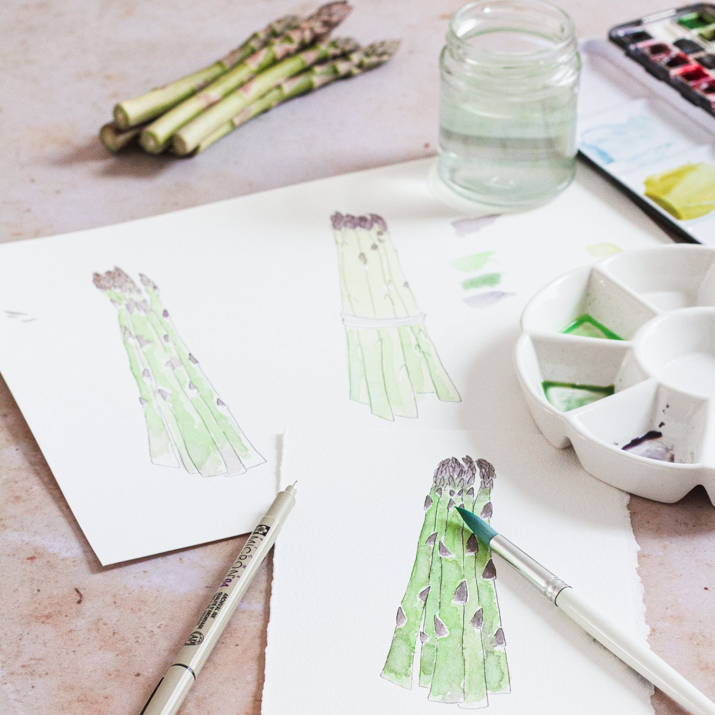 Process of making a watercolour illustrated fruit and vegetable calendar showing painted asparagus with the watercolour setup
